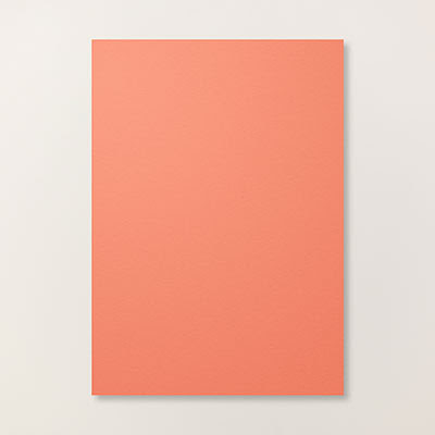Calypso Coral A4 Cardstock