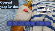 14+ Cepat Sembuh Opa