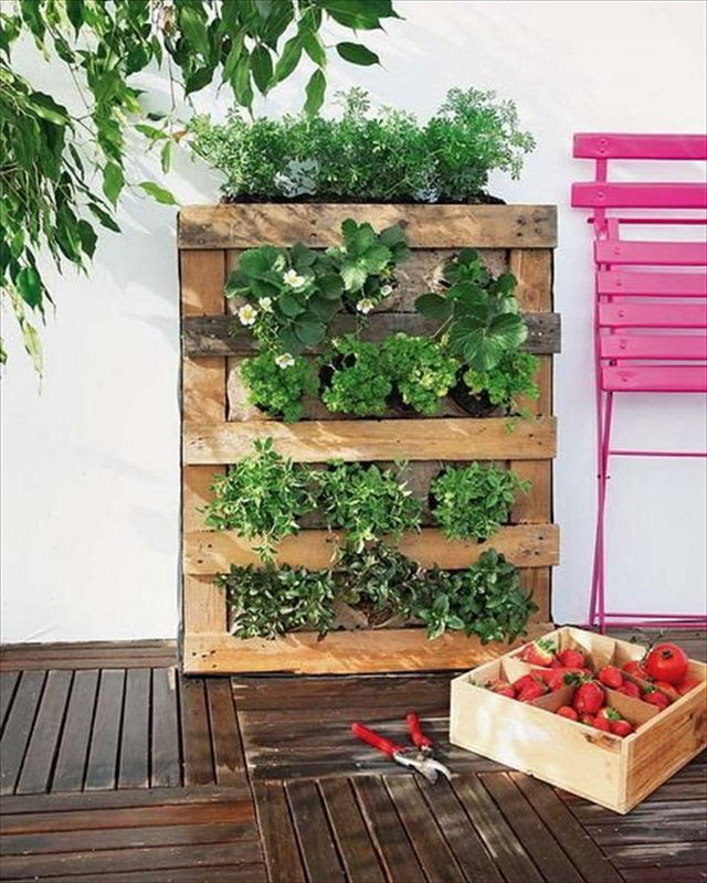 Vertical Gardening out of Recycle Pallets | Pallet Furniture Plans