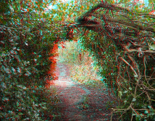 3d love