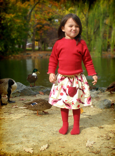 reversible bird seed skirt