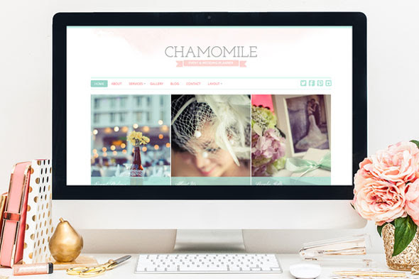 Chamomile - Creativemarket WordPress Theme