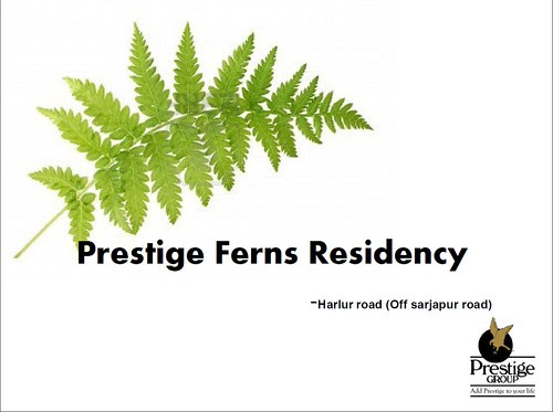 Pre-launch offer! Prestige Ferns Residency by Prestige Group - 2, 2.5, 3 BHK apartments at Harlur Road, off Sarjapur Road, Bangalore by jungle_concrete