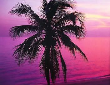 beach Pictures, Images and Photos