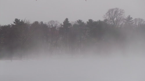 Fog at Jamaica Pond by stevegarfield