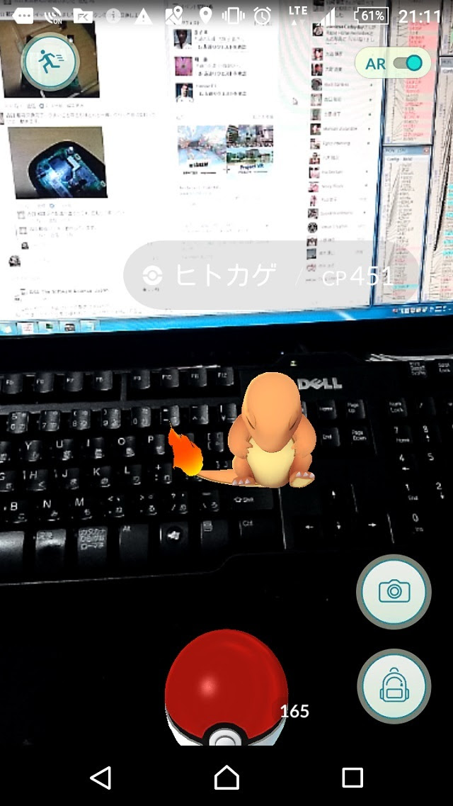 ポケモンの巣 カッパのひとり言