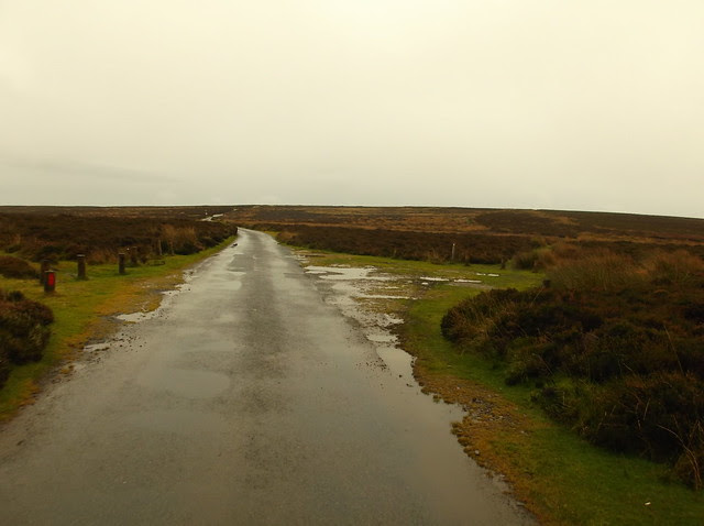 Pen y Fan and Pole Bank walk 247