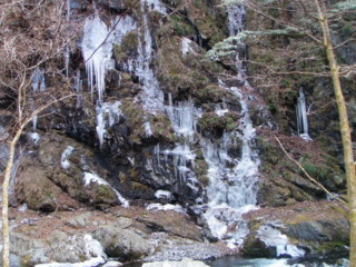 f:id:chichi_blog:20100129093953j:image