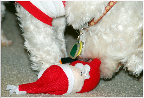 JakeySanta_2