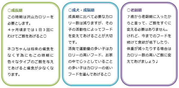 ライト動物病院