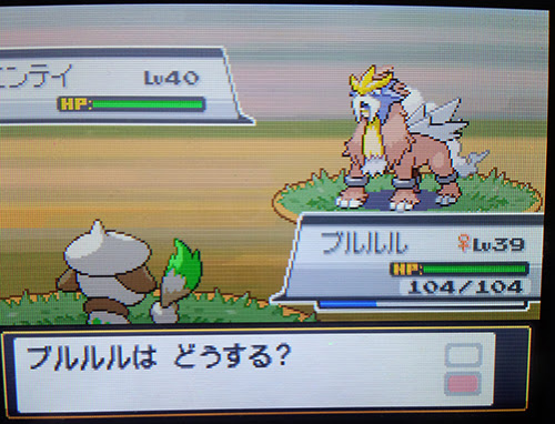 よし 色違い探すか エンテイ