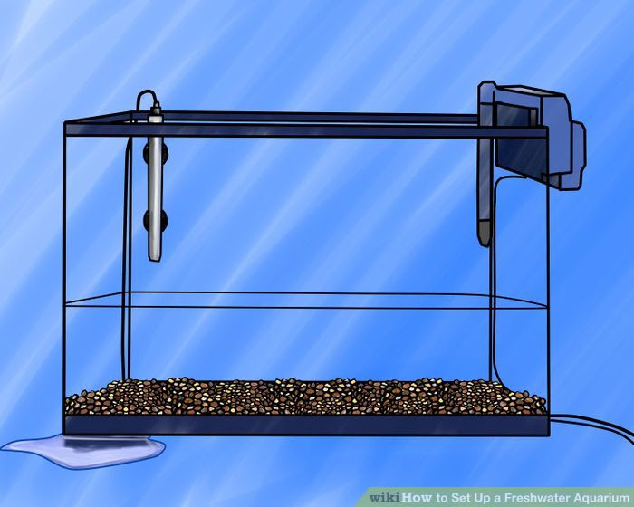 Set up a Freshwater Aquarium Step 6 Version 2.jpg