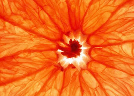 Tags for this Article: appetizer, dessert, Fruit, grapefruit, orange, Salad