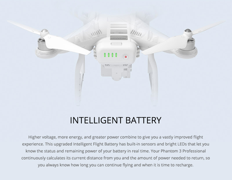 DJI Phantom 3 Professional Quadcopter Drone W/Extra Batte