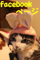 facebookページ
