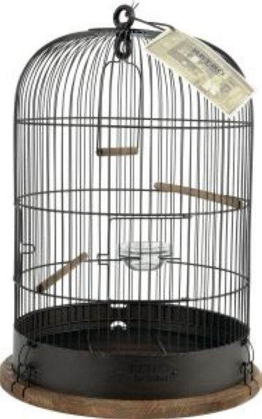 Pied Pour Cage Oiseaux Retro Lisette