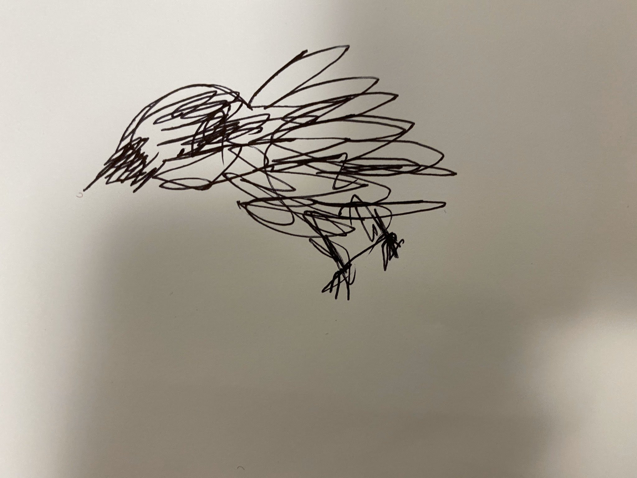 文鳥 In 黒くて美しい文鳥を飼う夢みた 懐いててすごくかわいかったけど黒い鳥って死を意味するらしい 友達に絵書いてって言われたので5秒で書いた