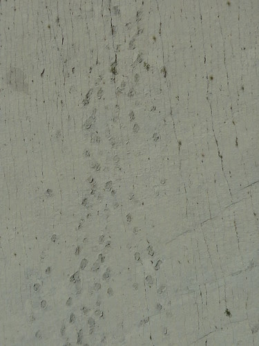 P1060338