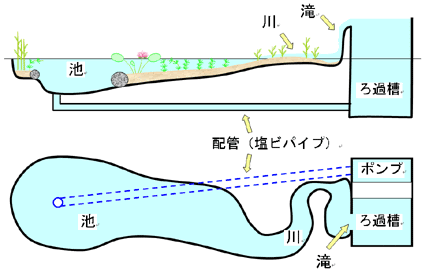 伊予のルアー職人 ビオトープ 作り方