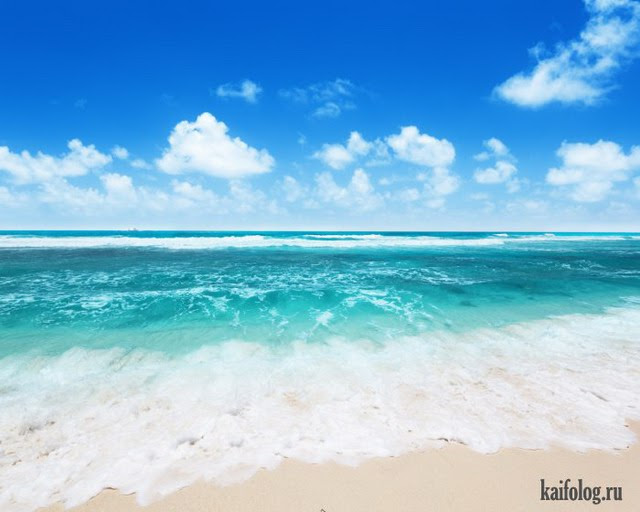 Изумительные фото (50 фото)