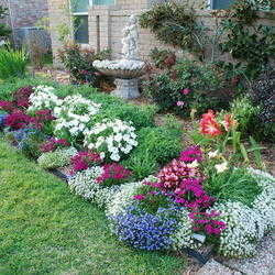 ... Photos &amp; Design - Landscaping Ideas &amp; Pictures - Dave's Garden