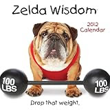 Zelda Wisdom