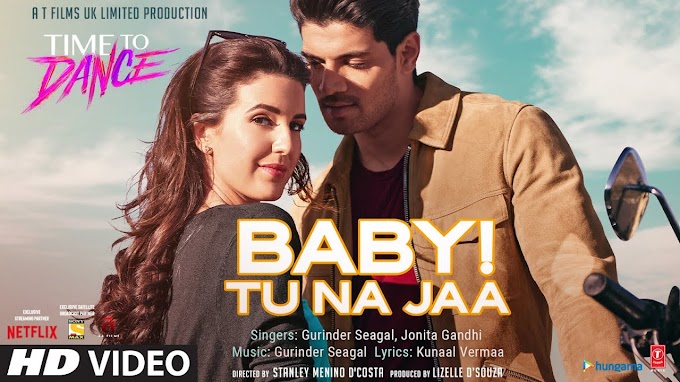 BABY TU NA JAA LYRICS - Gurinder Seagal, Jonita Gandhi