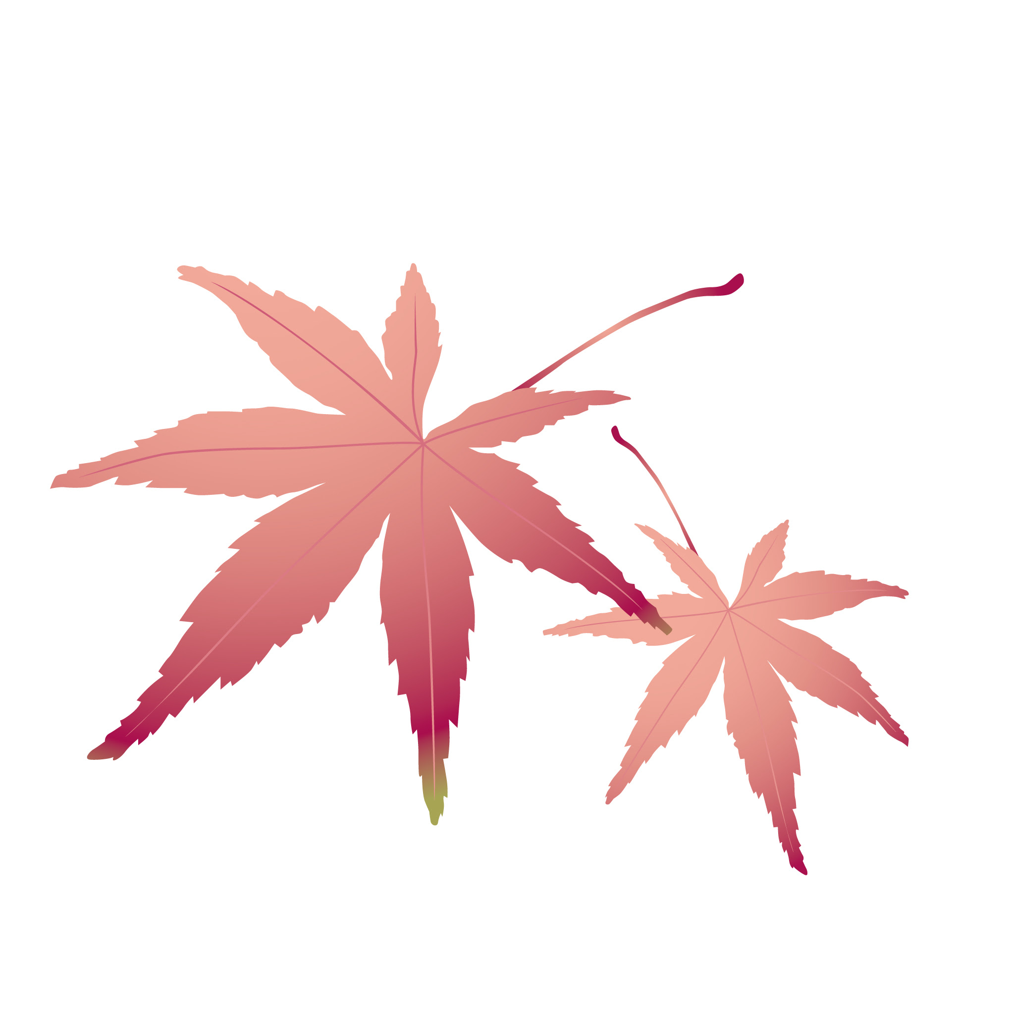 花のイラスト 無料 11月