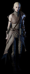 Schéma Armure lourde