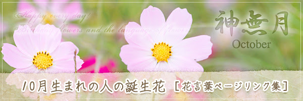 10月生まれの人の誕生花 の花言葉 誕生花 チルの工房 无域屋 花札庵