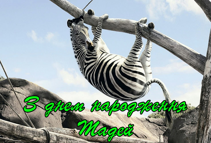 Привітання Тадею 