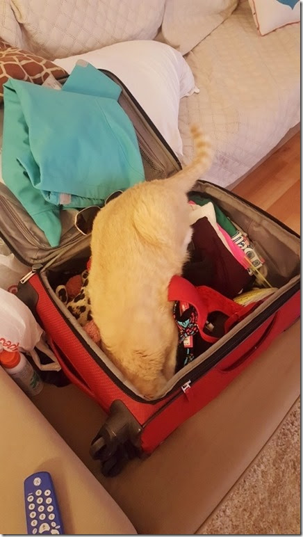 hes looking for something (450x800)