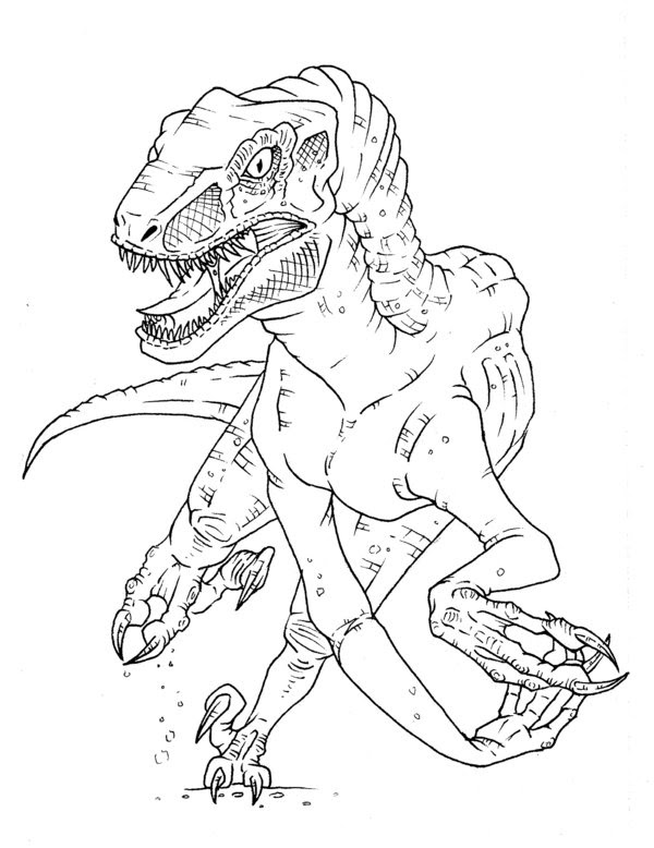Velociraptor Coloring Pages - Coloring Home