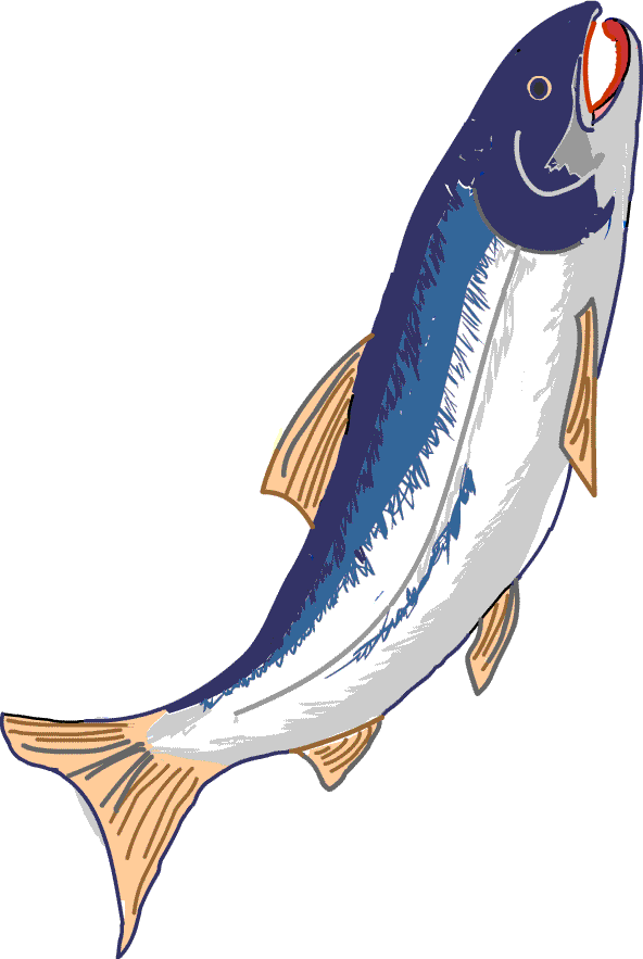 魚 イラスト 無料 ｇｉｆ画像