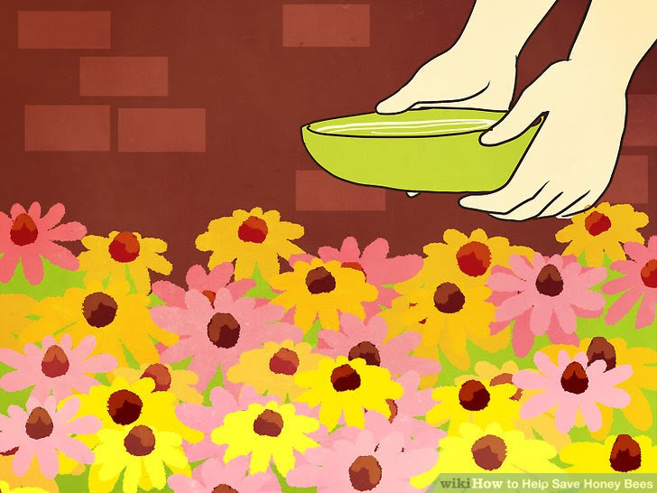 Help Save Honey Bees Step 9.jpg