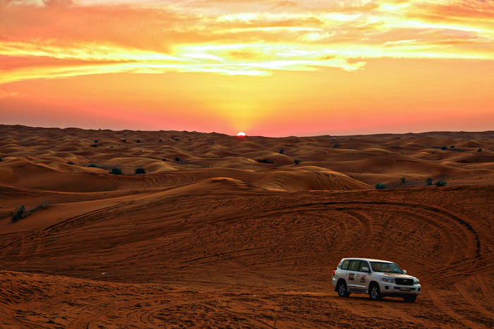 dubai_desert_safari_tour_IMG_1833_edited.jpeg