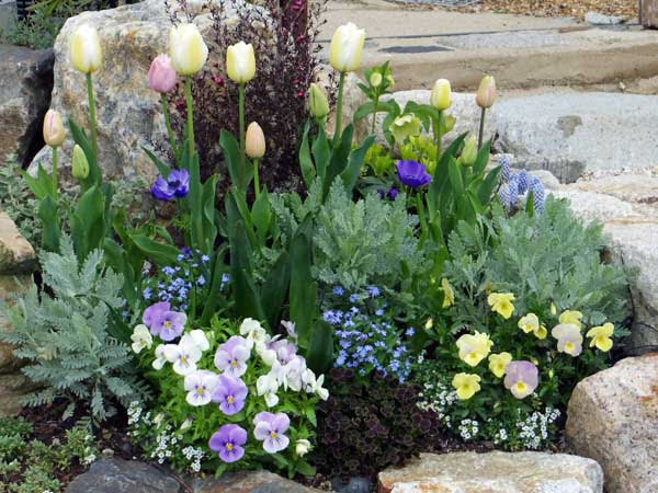 ガーデニングサロンきらら 花の庭づくり 花の庭暮らし