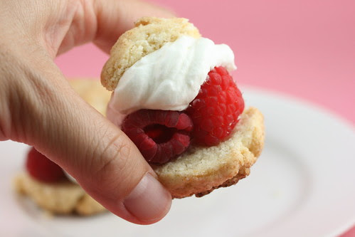 Tender Shortcakes - Tuesdays with Dorie