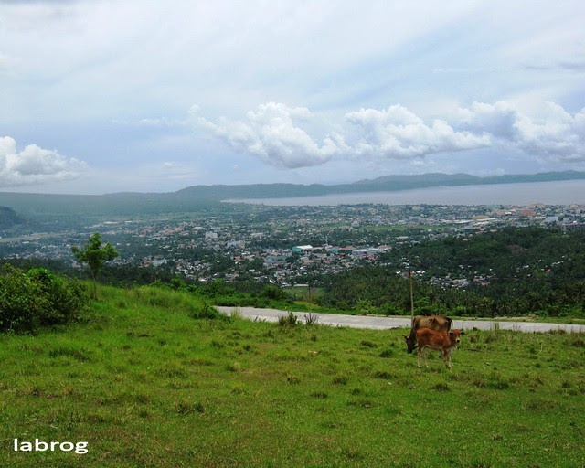 view from Estanza