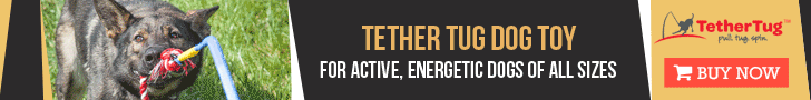 Tether Tug Dog Toy For All Sizes