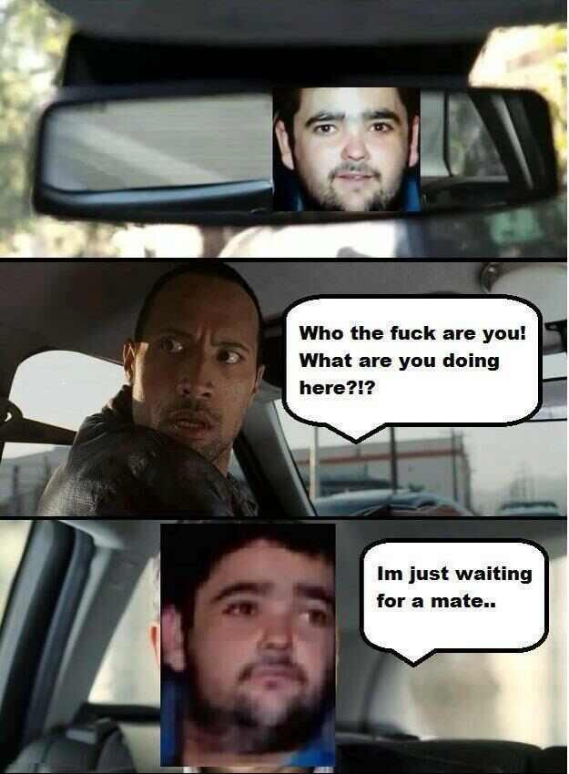 Image - 503837 | Just Waiting For A Mate | Know Your Meme