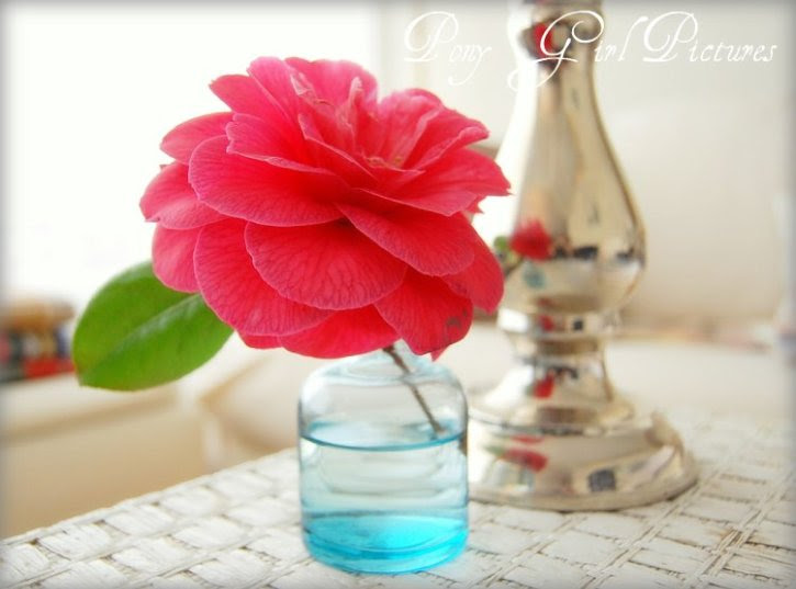 BeautifulF