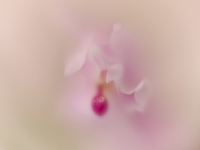 _C034628