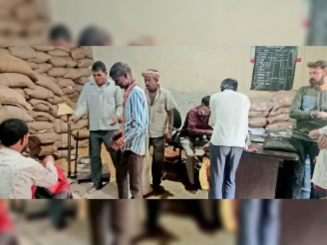 निर्णय:3.51 लाख परिवाराें काे मुफ्त मिलने वाला 5 किलाे अतिरिक्त गेहूं-चावल अब नहीं मिलेगा
