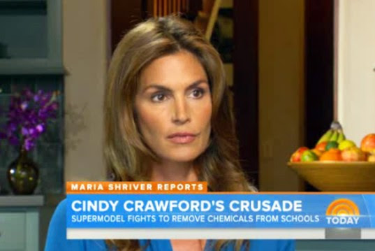 green schools, greener schools, health & body, health school environments assessment tool, healthy kids, healthy schools, healthyseat, kids health, Malibu schools, Malibu unites, mold in school, News, non-toxic day care, pcbs, safe child care, school budget cuts, school taxes, schools, toxic chemicals, toxic playground, toxins, unhealthy schools, cindy crawford