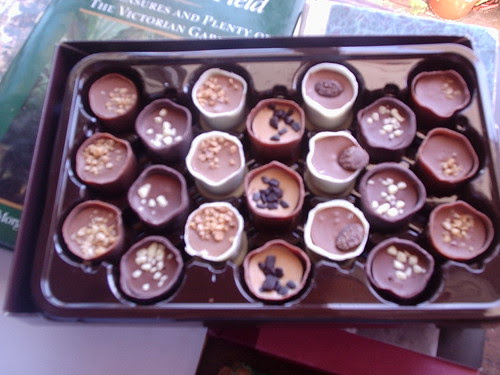 Belgian chocolates