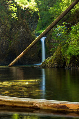 Punch Bowl Falls