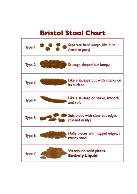  stool color chart effy moom 39 top images cat stool color chart the