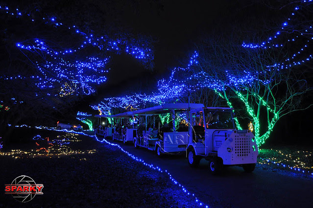 Dominion Garden of Lights 2014