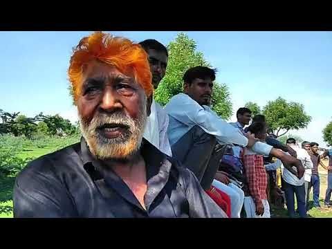 चित्र
